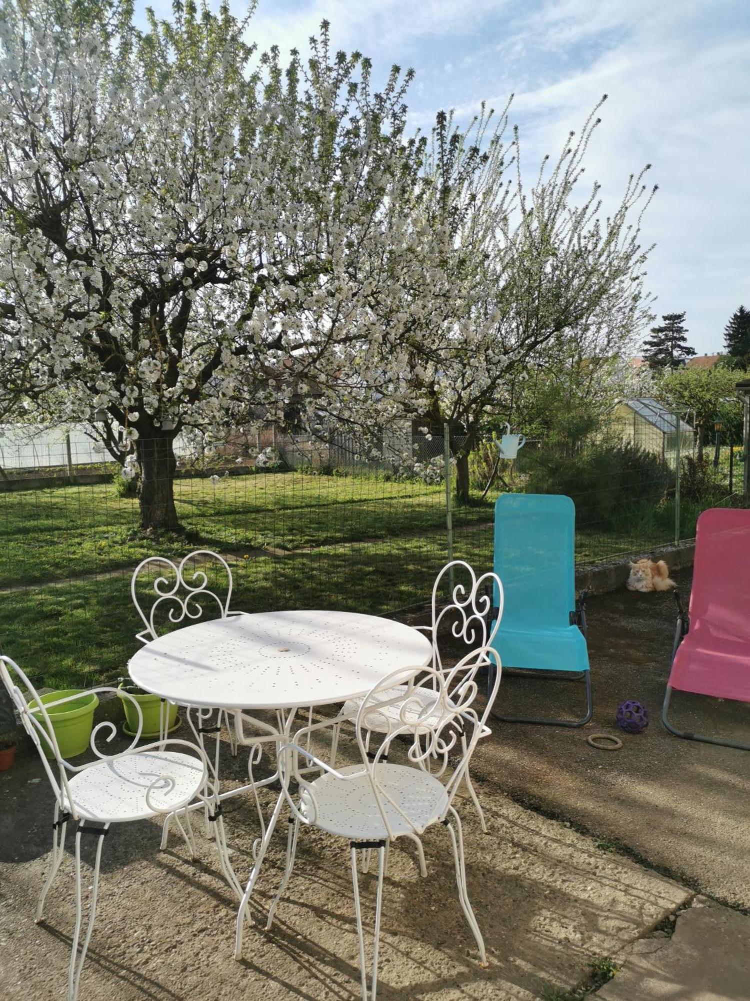 Maison Les 3 Roses Wolfisheim Exterior photo